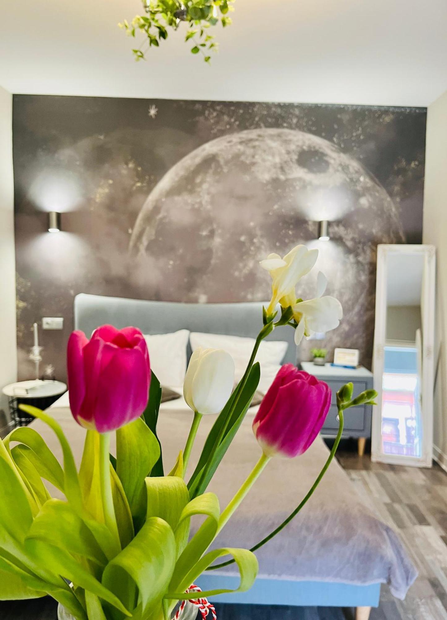 Moon And Sun Apartments Sybin Zewnętrze zdjęcie
